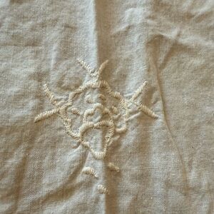 Beautiful lace shower curtain